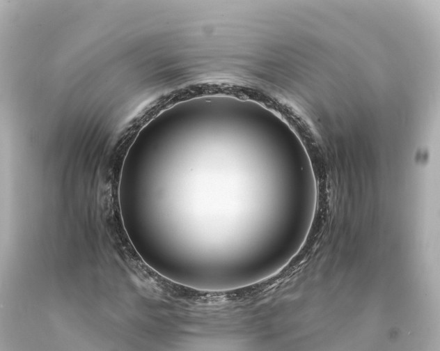 X0000094200968200711021048
