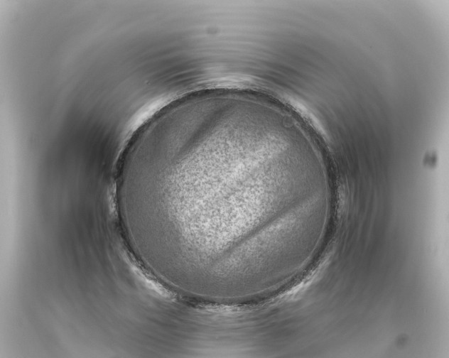 X0000094200970200711021048