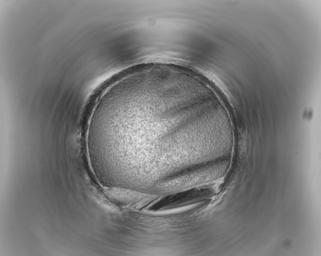 X0000094200971200711021048