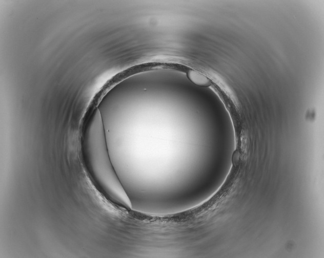X0000094200972200711021048