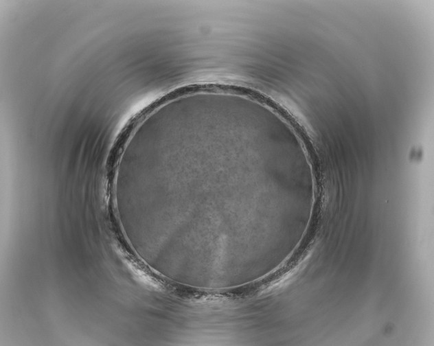 X0000094200974200711021048