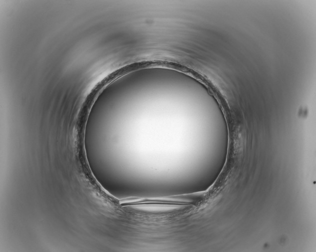 X0000094200975200711021048