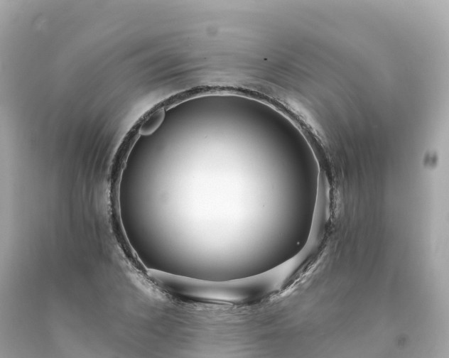 X0000094200976200711021048