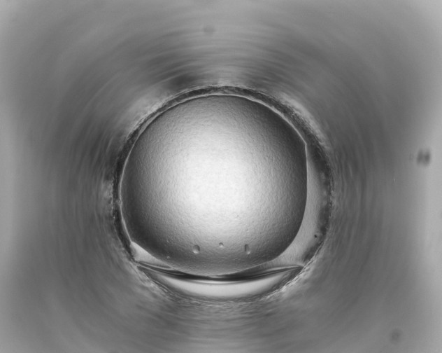 X0000094200977200711021048