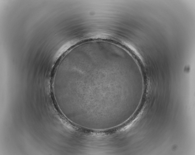 X0000094200978200711021048