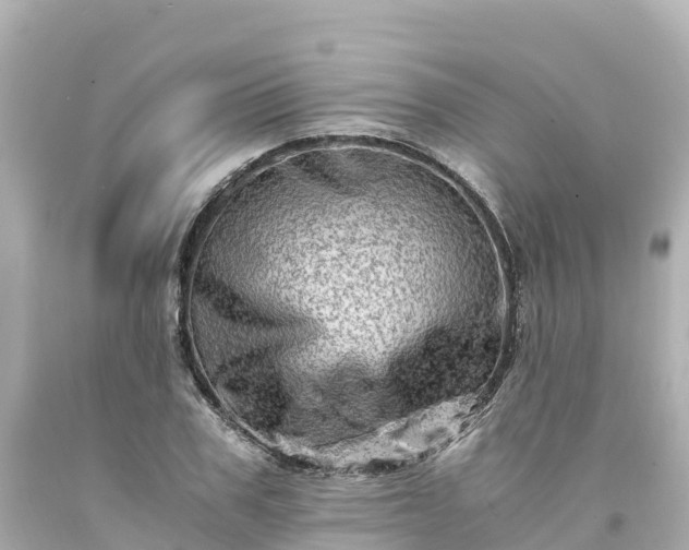 X0000094200979200711021048