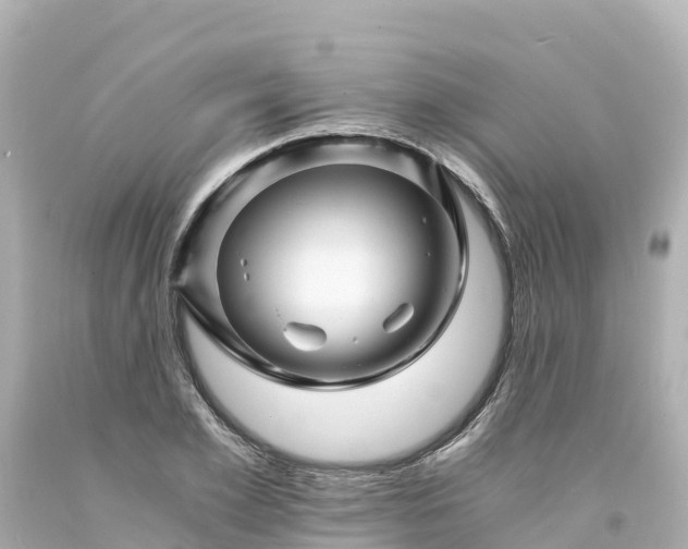 X0000094200981200711021048