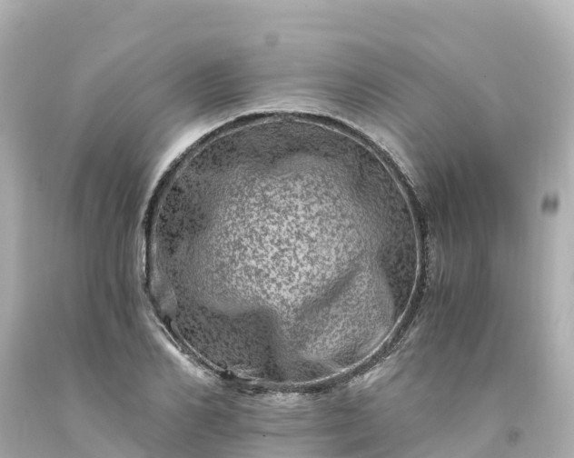 X0000094200982200711021048
