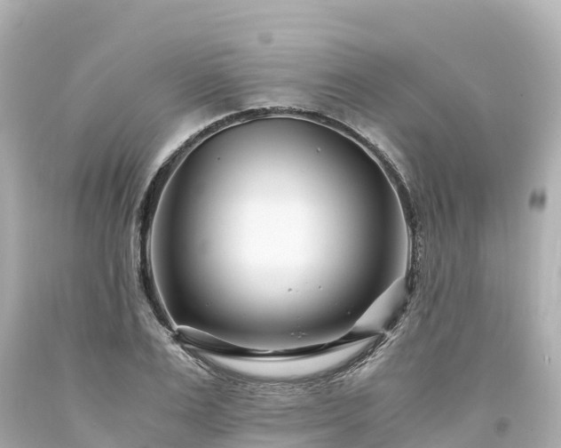 X0000094200983200711021048