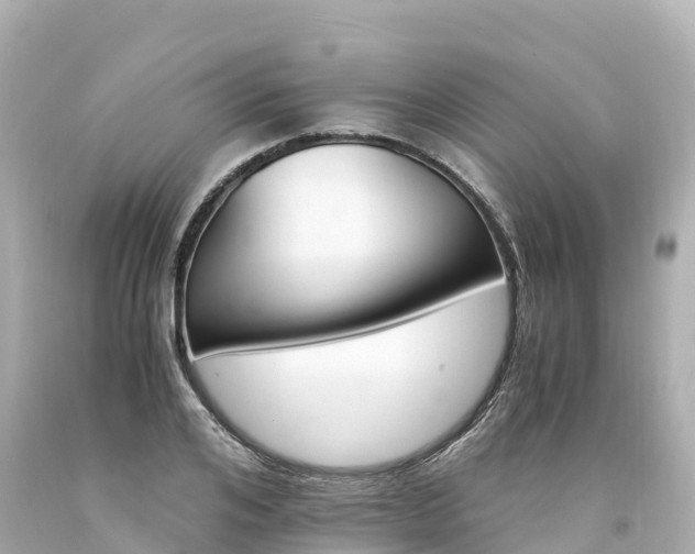 X0000094200984200711021048