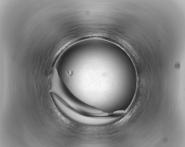 X0000094200985200711021048