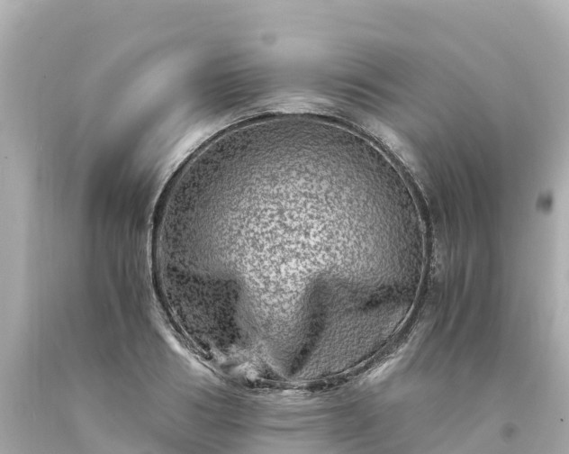 X0000094200986200711021047