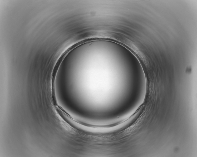 X0000094200988200711021047