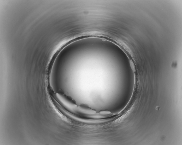 X0000094200989200711021047