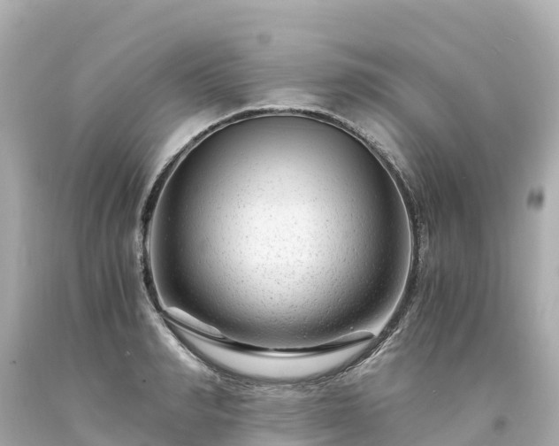 X0000094200990200711021047