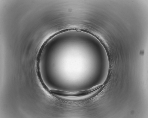 X0000094200991200711021047