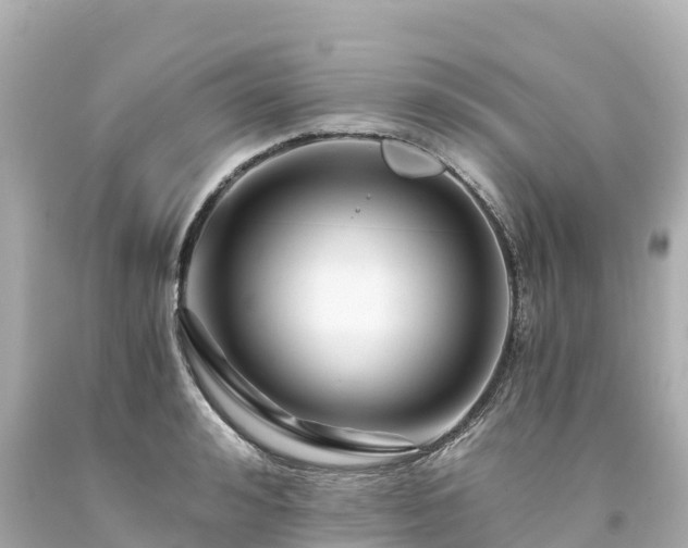 X0000094200992200711021047