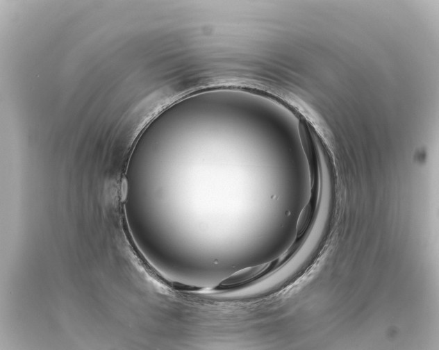 X0000094200993200711021047