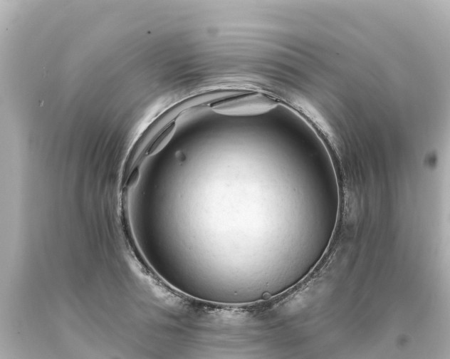 X0000094200994200711021047