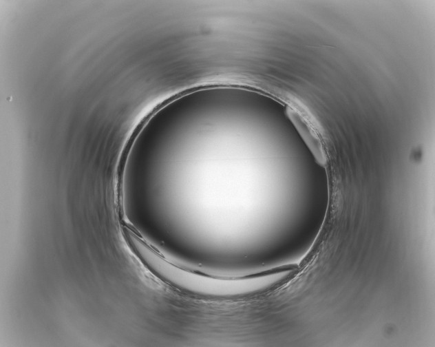 X0000094200996200711021047