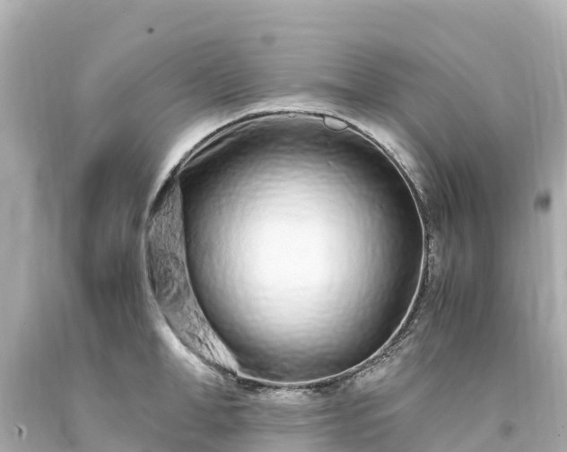 X0000094200998200711021047