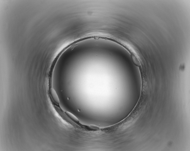 X0000094200999200711021047