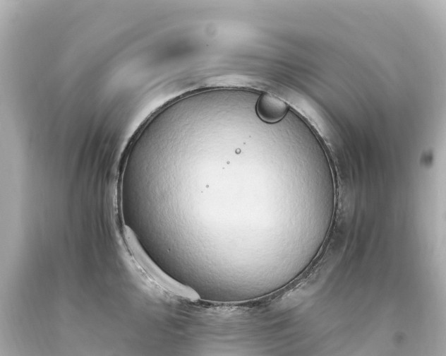 X0000094201000200711021047