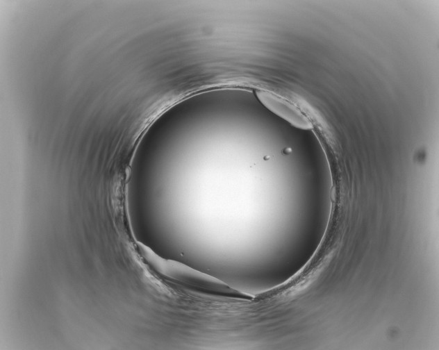 X0000094201001200711021047