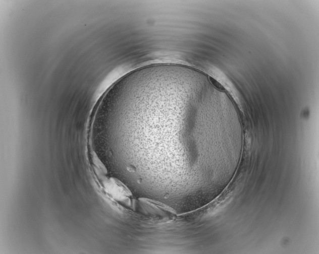 X0000094201002200711021047