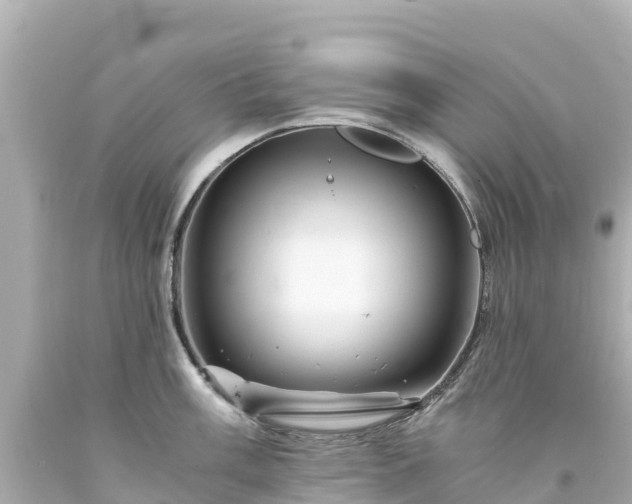 X0000094201003200711021047