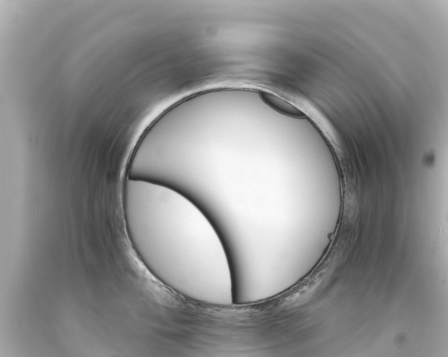 X0000094201004200711021047