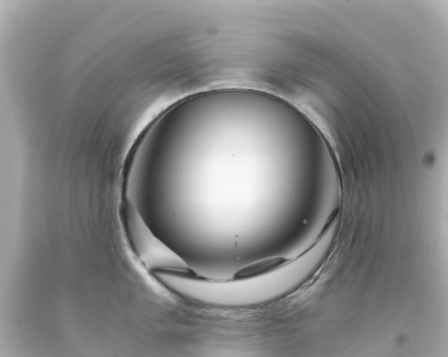X0000094201005200711021047