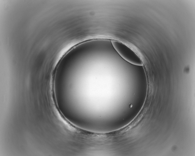 X0000094201006200711021047