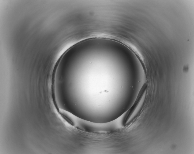 X0000094201007200711021047