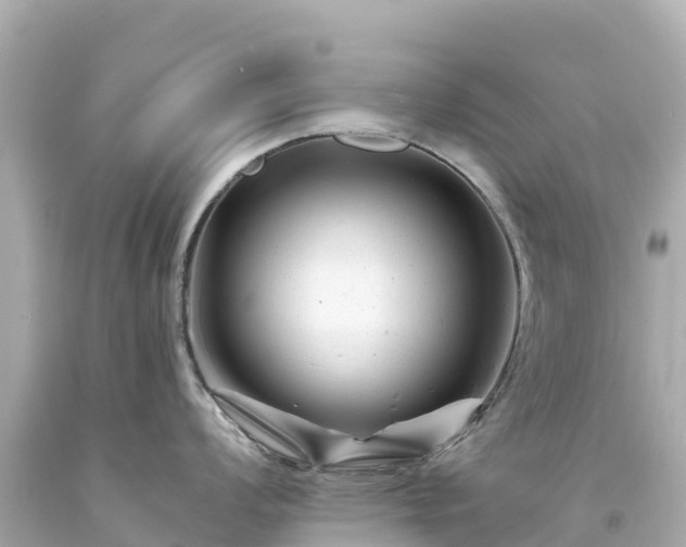 X0000094201008200711021047