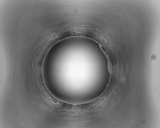 X0000094201009200711021046