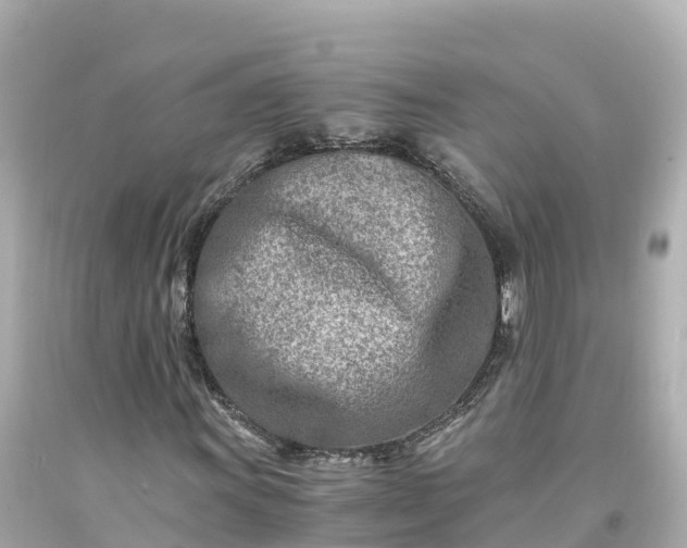 X0000094201011200711021046