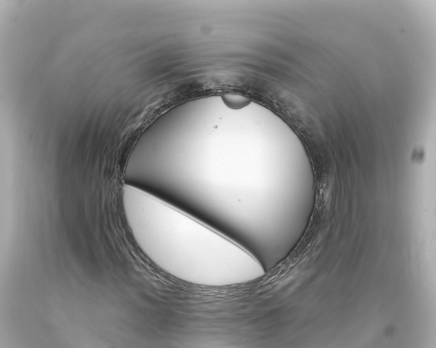 X0000094201012200711021046