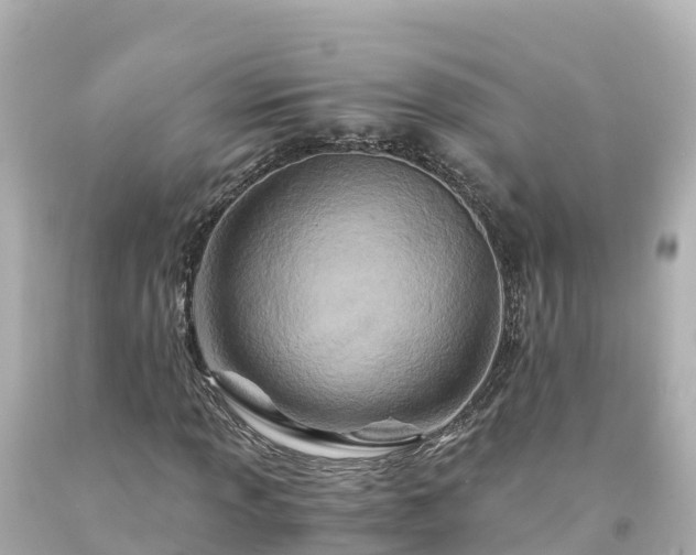 X0000094201013200711021046