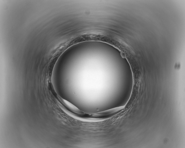 X0000094201014200711021046