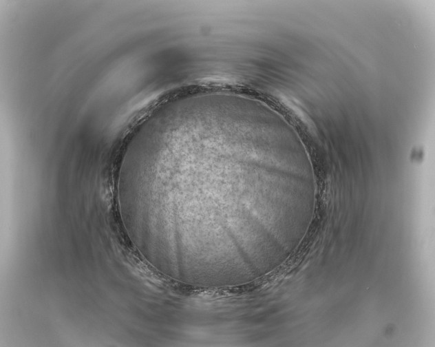 X0000094201015200711021046