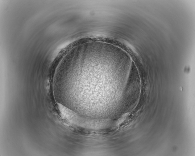 X0000094201016200711021046