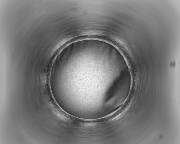 X0000094201017200711021046