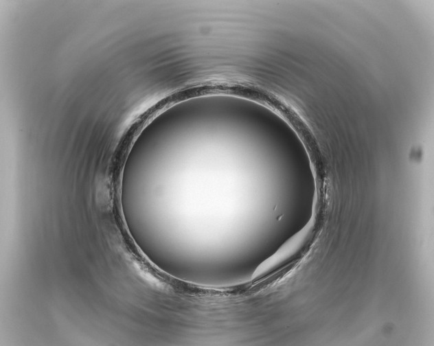 X0000094201018200711021046