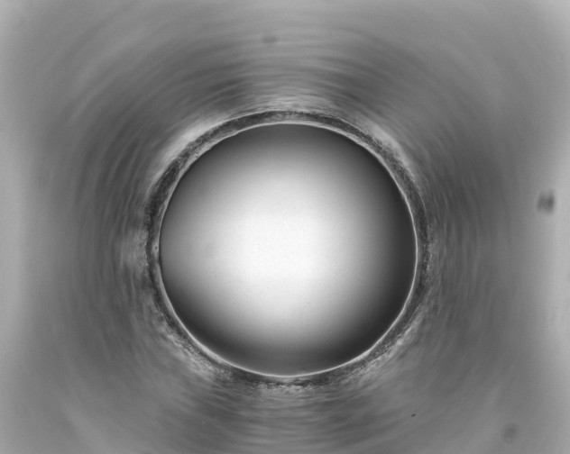 X0000094201019200711021046