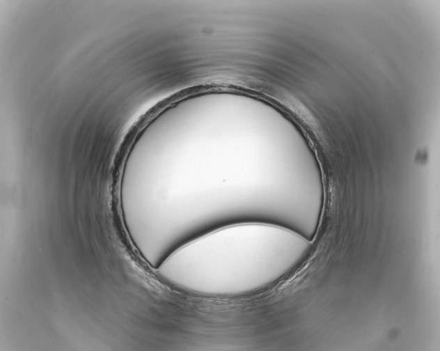 X0000094201020200711021046