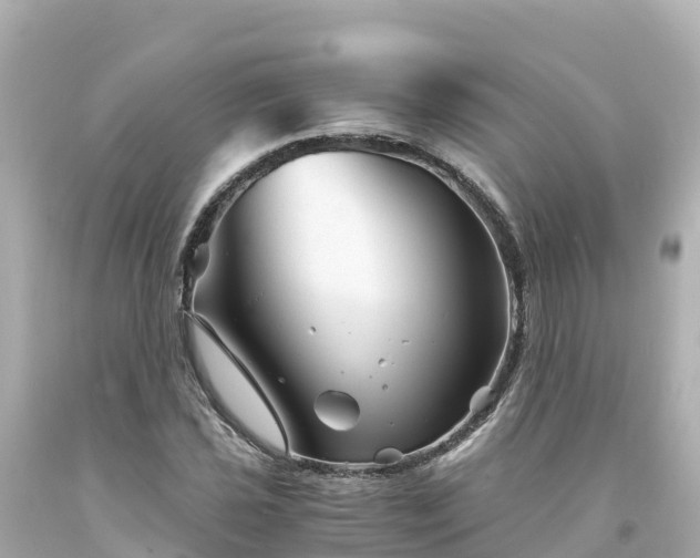 X0000094201021200711021046