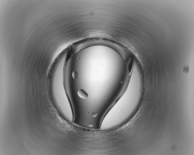 X0000094201022200711021046