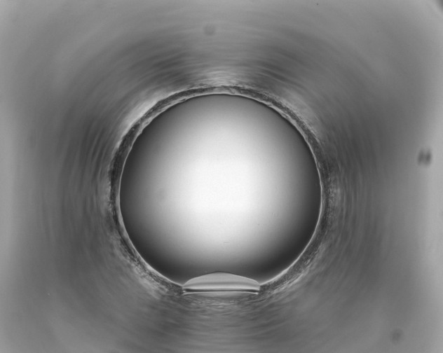 X0000094201023200711021046