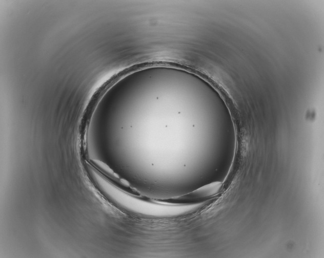 X0000094201024200711021047